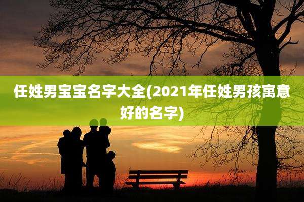 任姓男宝宝名字大全(2021年任姓男孩寓意好的名字)