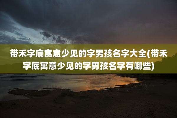 带禾字底寓意少见的字男孩名字大全(带禾字底寓意少见的字男孩名字有哪些)