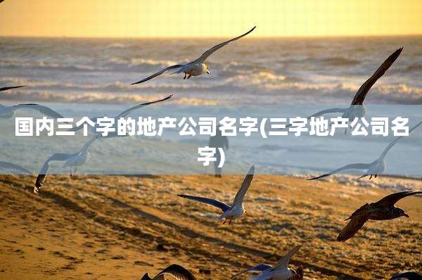 国内三个字的地产公司名字(三字地产公司名字)