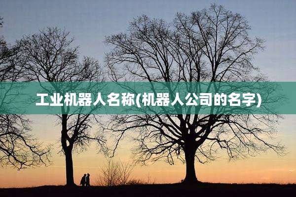 工业机器人名称(机器人公司的名字)