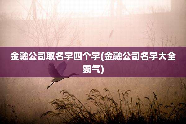 金融公司取名字四个字(金融公司名字大全霸气)