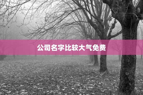 公司名字比较大气免费