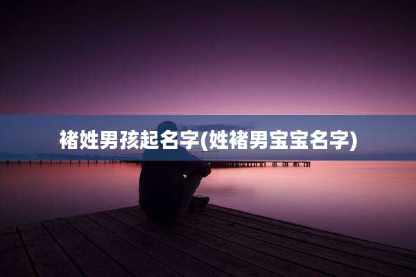 褚姓男孩起名字(姓褚男宝宝名字)