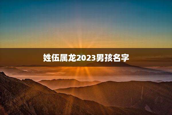 姓伍属龙2023男孩名字