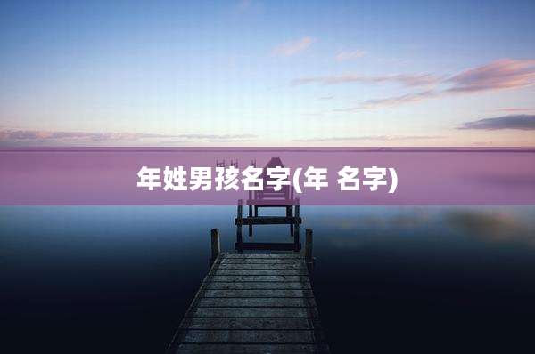 年姓男孩名字(年 名字)
