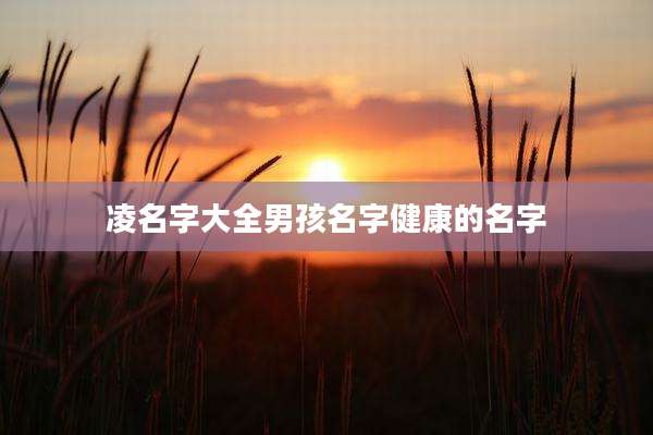 凌名字大全男孩名字健康的名字