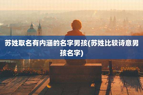 苏姓取名有内涵的名字男孩(苏姓比较诗意男孩名字)