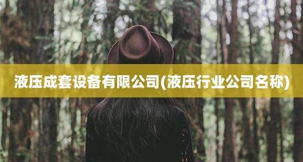 液压成套设备有限公司(液压行业公司名称)