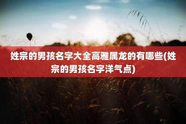 姓宗的男孩名字大全高雅属龙的有哪些(姓宗的男孩名字洋气点)