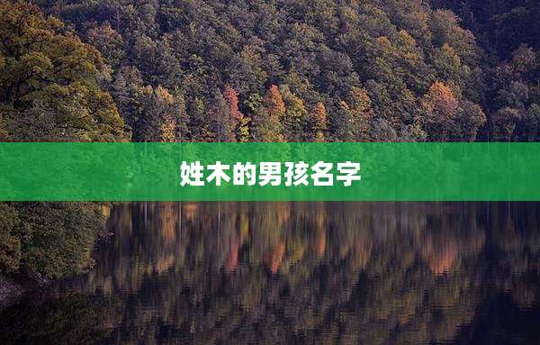 姓木的男孩名字