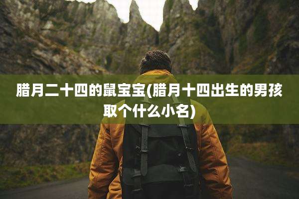 腊月二十四的鼠宝宝(腊月十四出生的男孩取个什么小名)