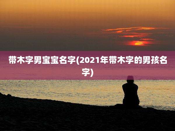 带木字男宝宝名字(2021年带木字的男孩名字)