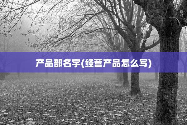 产品部名字(经营产品怎么写)