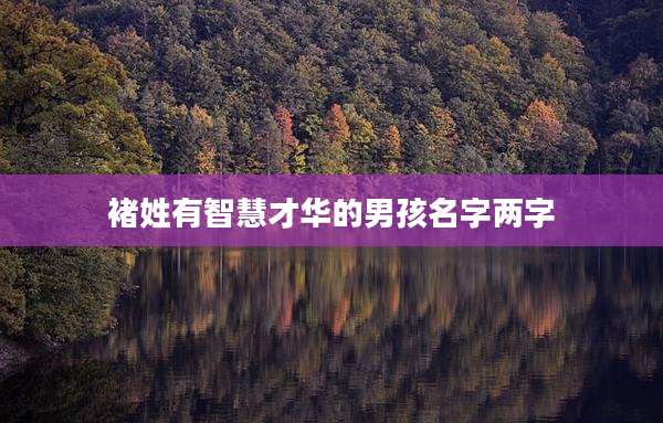 褚姓有智慧才华的男孩名字两字