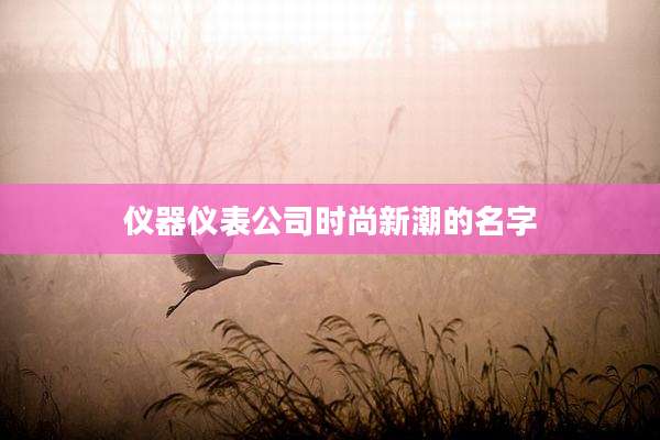 仪器仪表公司时尚新潮的名字