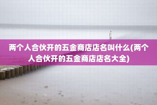 两个人合伙开的五金商店店名叫什么(两个人合伙开的五金商店店名大全)