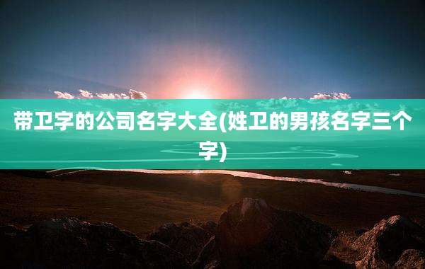 带卫字的公司名字大全(姓卫的男孩名字三个字)