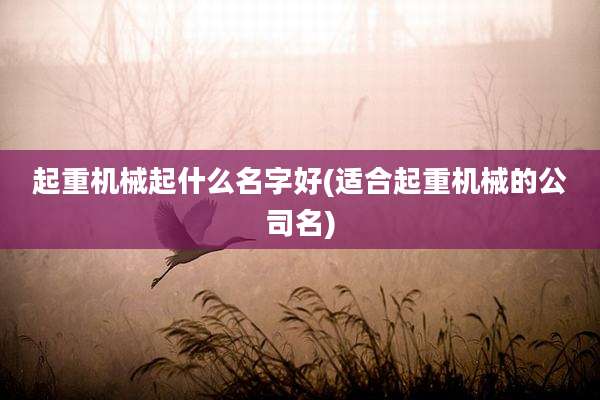 起重机械起什么名字好(适合起重机械的公司名)