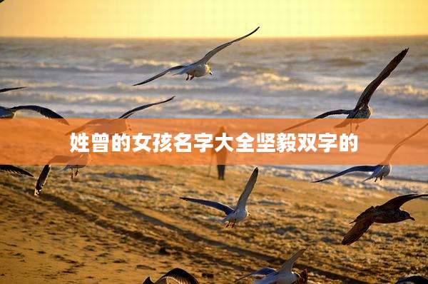 姓曾的女孩名字大全坚毅双字的