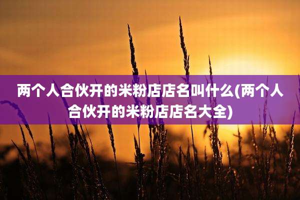 两个人合伙开的米粉店店名叫什么(两个人合伙开的米粉店店名大全)