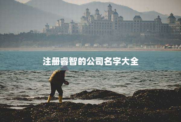 注册睿智的公司名字大全