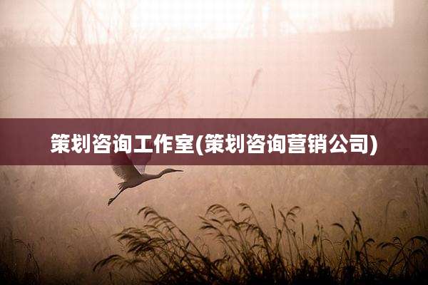 策划咨询工作室(策划咨询营销公司)