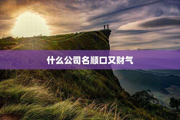 什么公司名顺口又财气