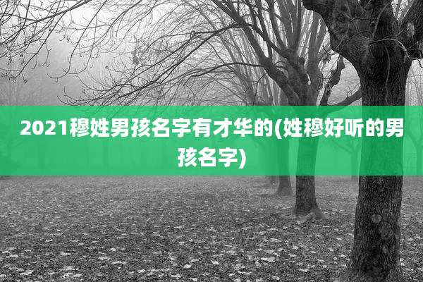 2021穆姓男孩名字有才华的(姓穆好听的男孩名字)