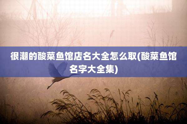 很潮的酸菜鱼馆店名大全怎么取(酸菜鱼馆名字大全集)