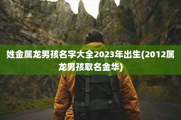 姓金属龙男孩名字大全2023年出生(2012属龙男孩取名金华)