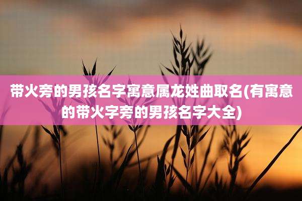 带火旁的男孩名字寓意属龙姓曲取名(有寓意的带火字旁的男孩名字大全)