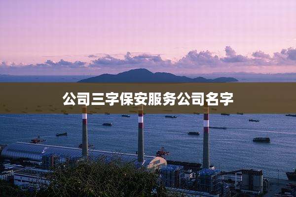 公司三字保安服务公司名字