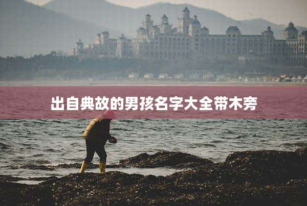 出自典故的男孩名字大全带木旁