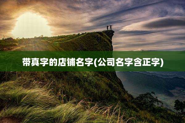 带真字的店铺名字(公司名字含正字)