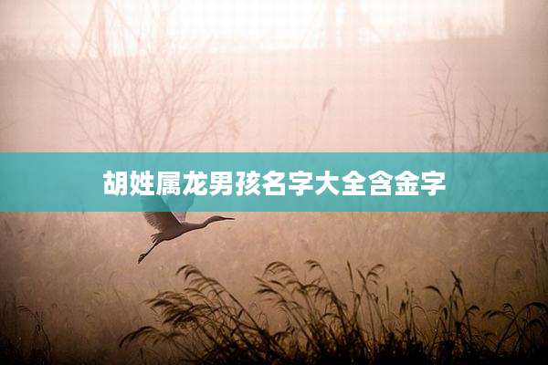 胡姓属龙男孩名字大全含金字