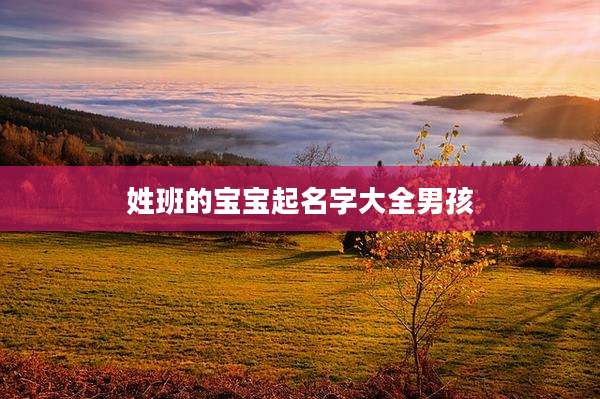 姓班的宝宝起名字大全男孩