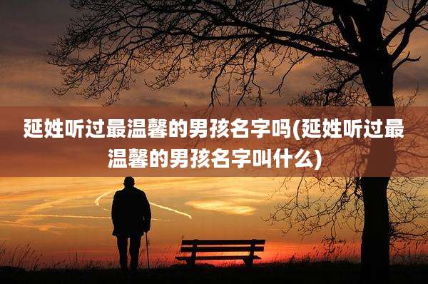 延姓听过最温馨的男孩名字吗(延姓听过最温馨的男孩名字叫什么)