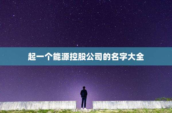 起一个能源控股公司的名字大全