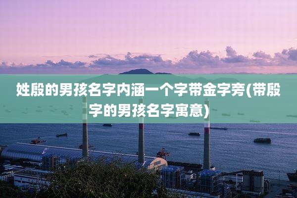 姓殷的男孩名字内涵一个字带金字旁(带殷字的男孩名字寓意)