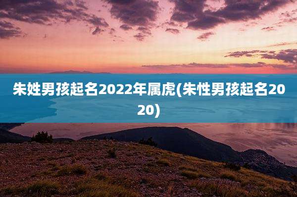 朱姓男孩起名2022年属虎(朱性男孩起名2020)