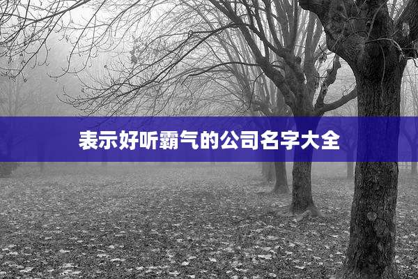 表示好听霸气的公司名字大全