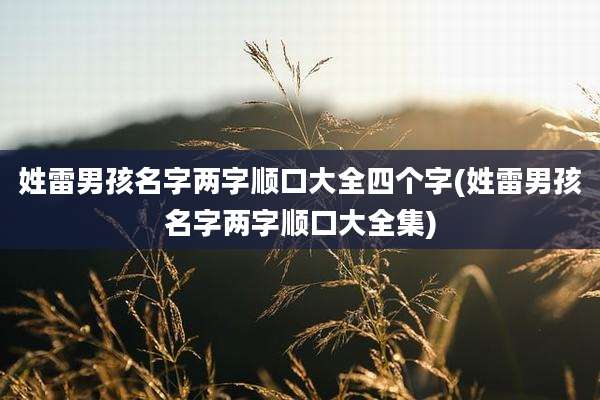 姓雷男孩名字两字顺口大全四个字(姓雷男孩名字两字顺口大全集)