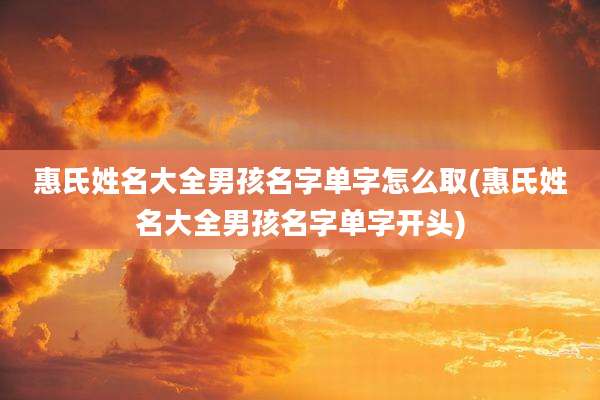 惠氏姓名大全男孩名字单字怎么取(惠氏姓名大全男孩名字单字开头)