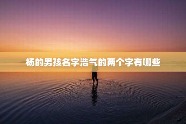 杨的男孩名字浩气的两个字有哪些