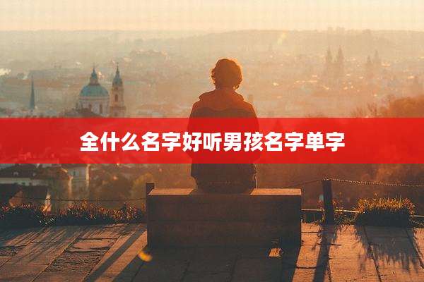 全什么名字好听男孩名字单字