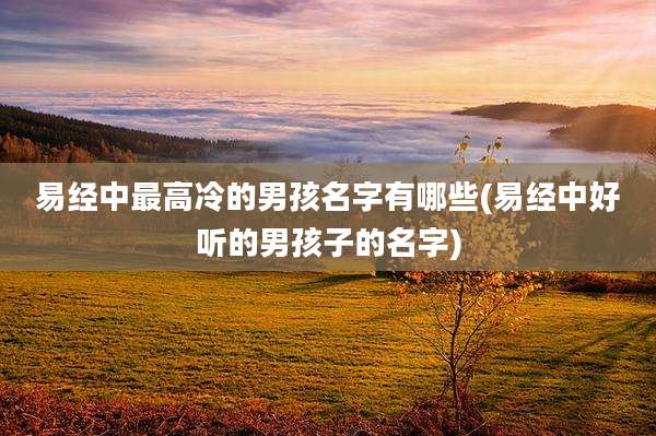 易经中最高冷的男孩名字有哪些(易经中好听的男孩子的名字)