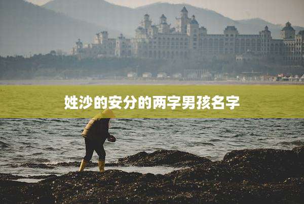 姓沙的安分的两字男孩名字