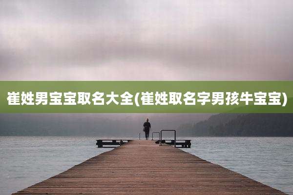 崔姓男宝宝取名大全(崔姓取名字男孩牛宝宝)