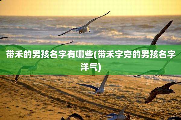 带禾的男孩名字有哪些(带禾字旁的男孩名字洋气)