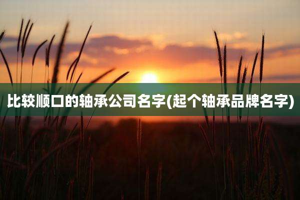 比较顺口的轴承公司名字(起个轴承品牌名字)